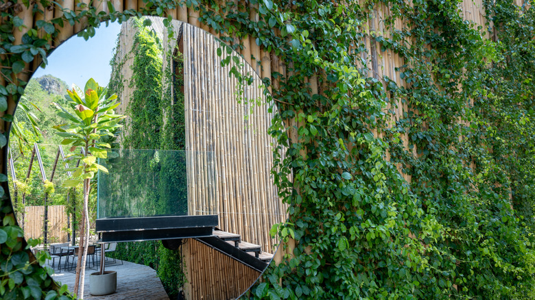 bamboo fence with mirror