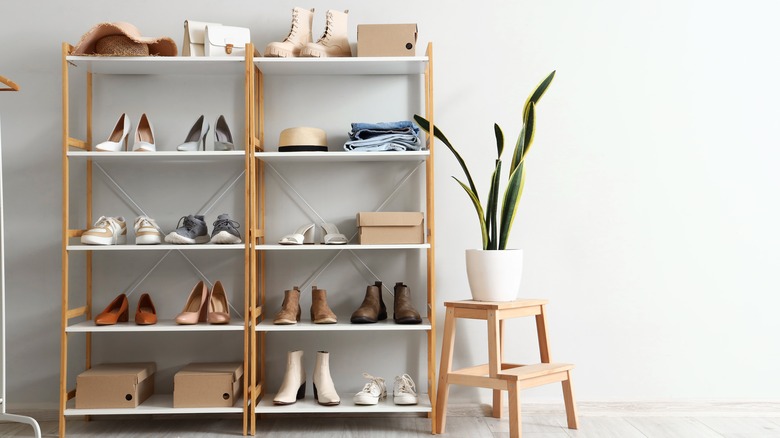 Shoes on stylish storage rack