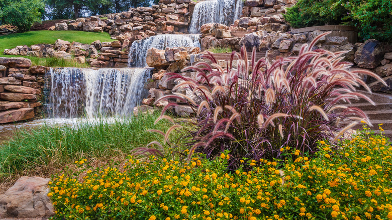 Ornamental grass garden near waterfall