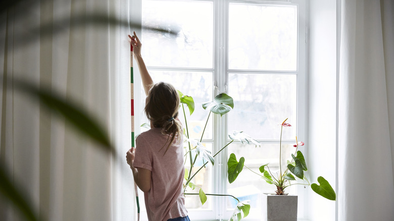 A person measures a set of curtains in a pleasant living room.