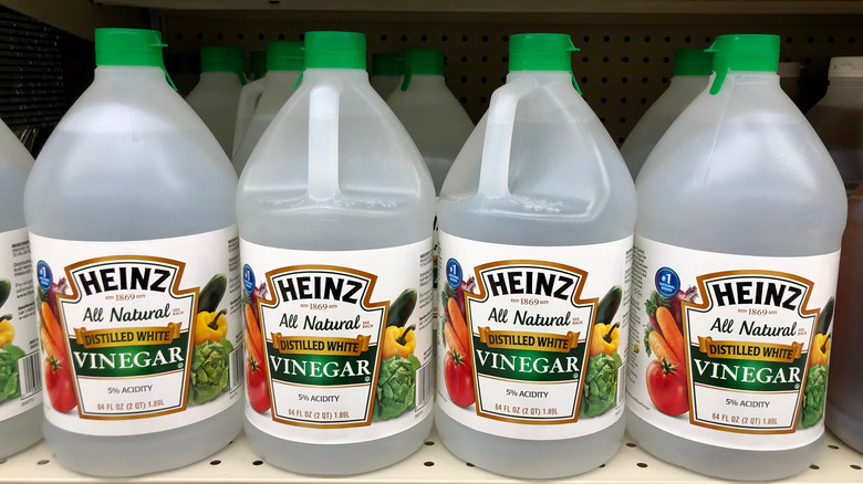 vinegar bottles