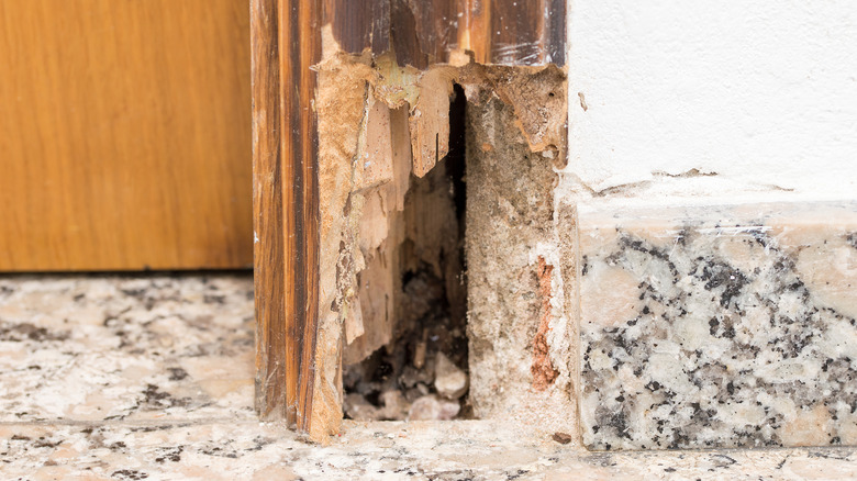 Old wooden door frame with wood rot