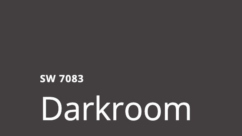 Darkroom paint color