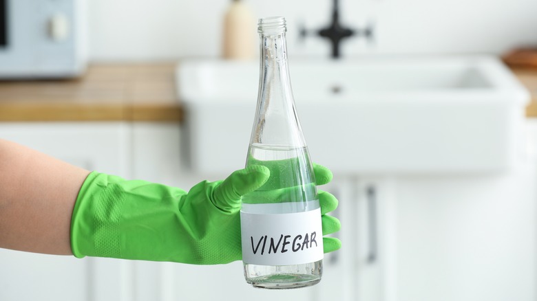 Hand holding vinegar bottle