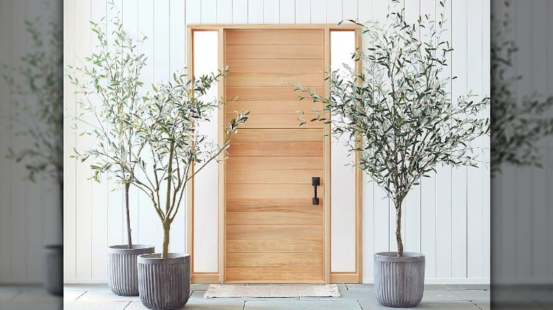 Artificial olive trees flank door