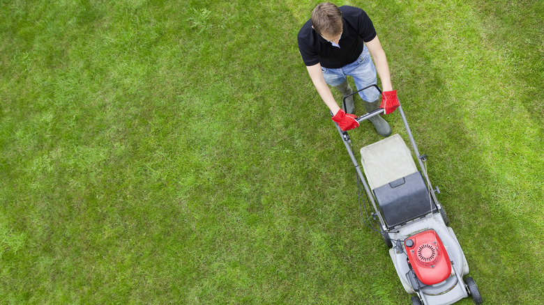 Person mowing lawn 