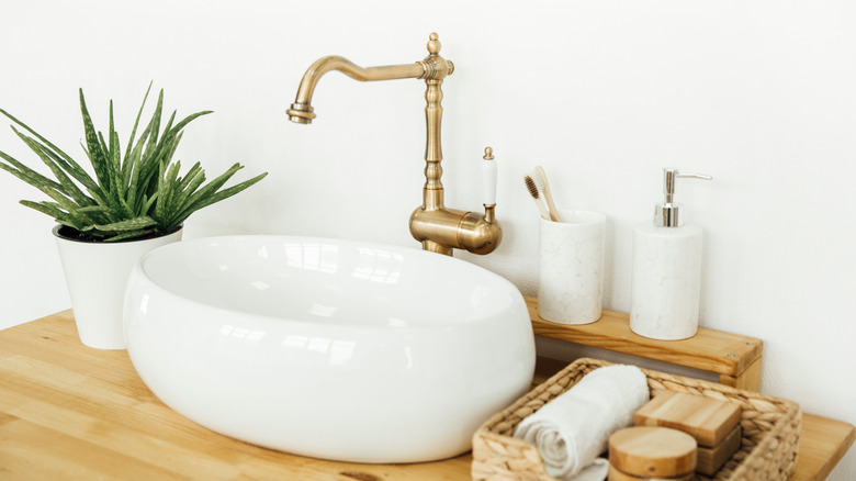 Sink with aloe plant nearby