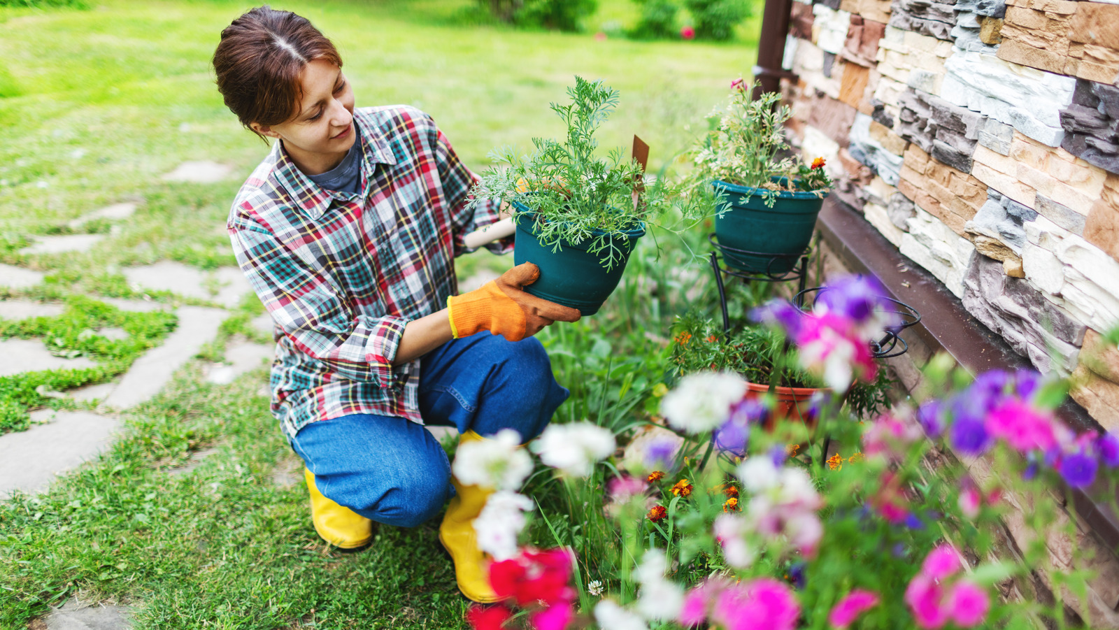 The Plants Set To Dominate Gardens In 2024 According To Our Gardening   L Intro 1708537955 