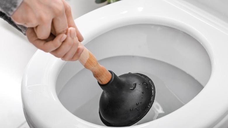 Hands holding black plunger