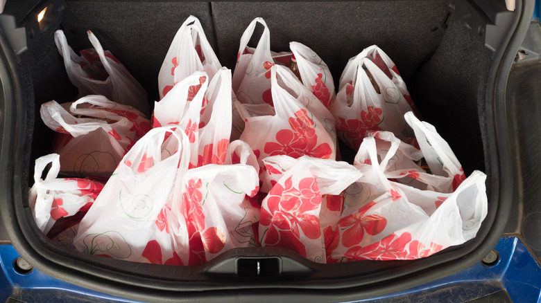 Grocery bags in a trunk