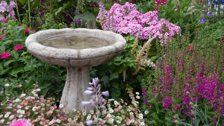 birdbath in garden