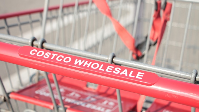 Costco shopping basket