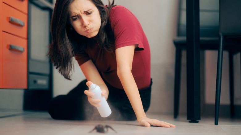 Person spraying cockroach