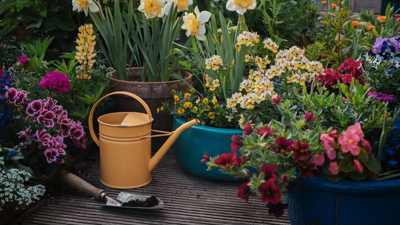 deck with flowering plants