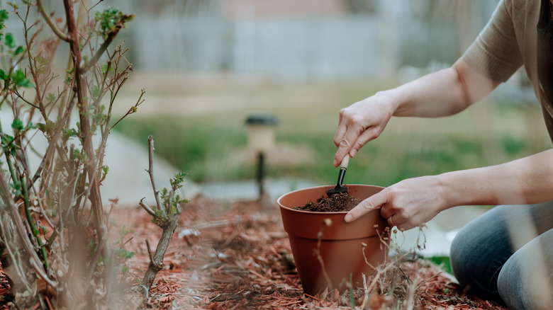 A person sows seeds in a pot outside.