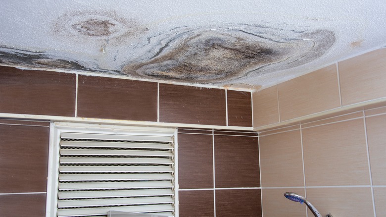 mold on bathroom ceiling