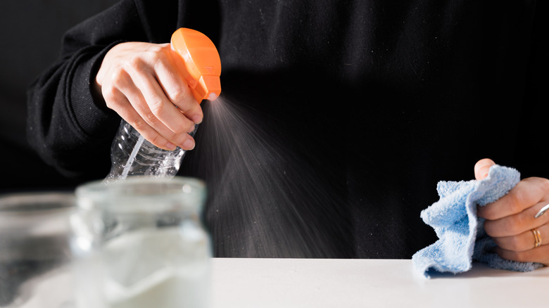 person cleaning kitchen with vinegar