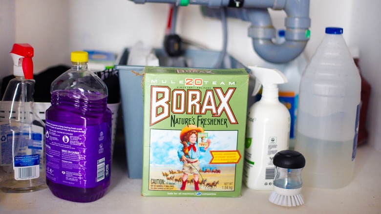 borax and cleaning supplies storage