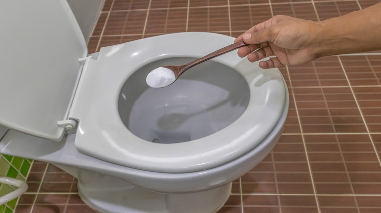 putting borax in a toilet 