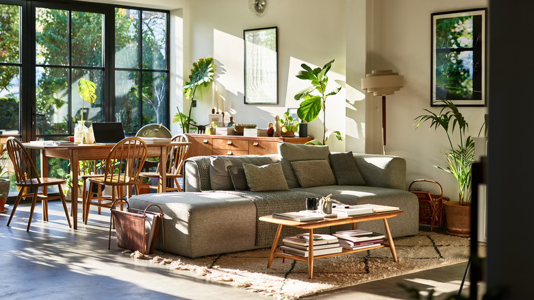 light filled living room with coffee table