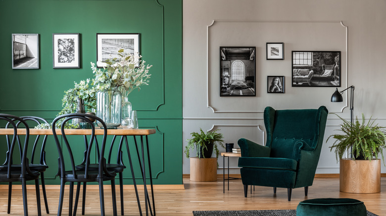 green colored wall in dining area