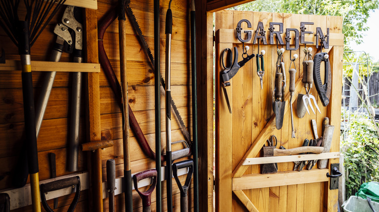 interior view of a wood shed