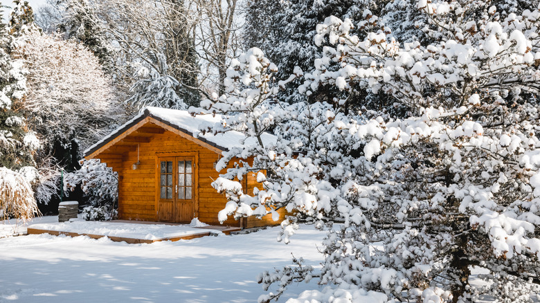 Wooden shed covered in snow