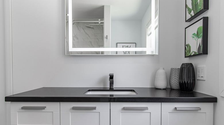 Black and white bathroom