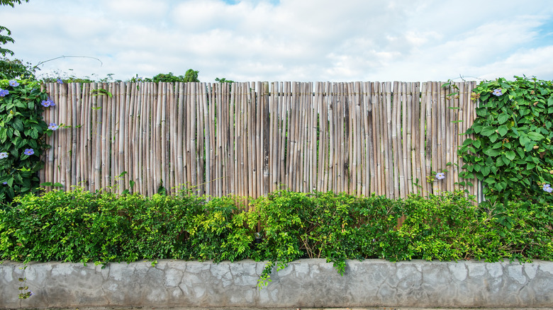 bamboo fence surrounding by greenery