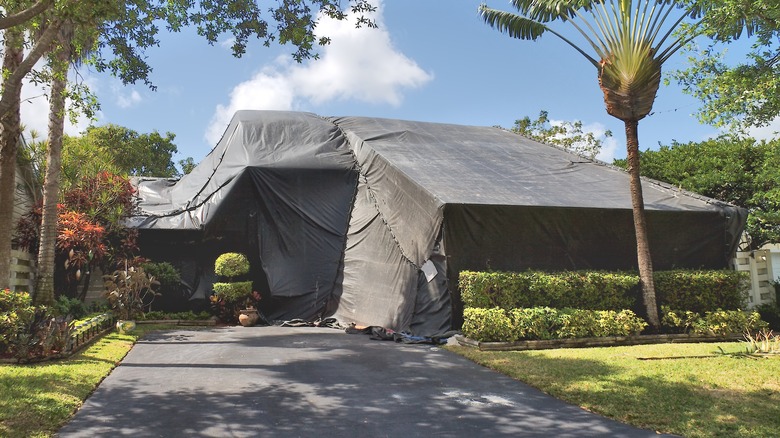 Home tested for termite fumigation