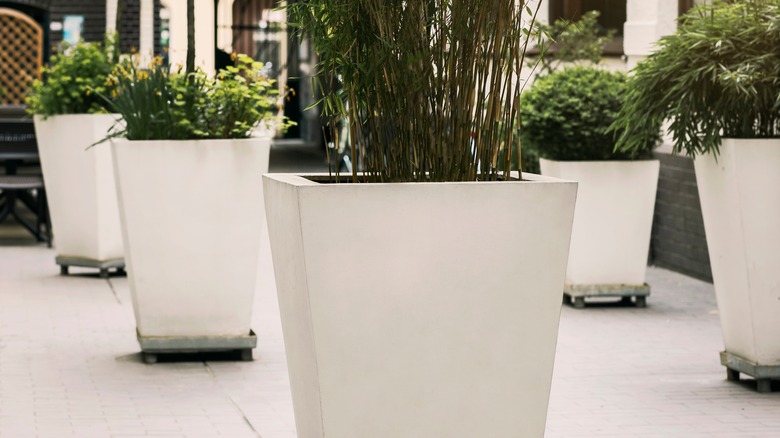 ceramic planters on wheels