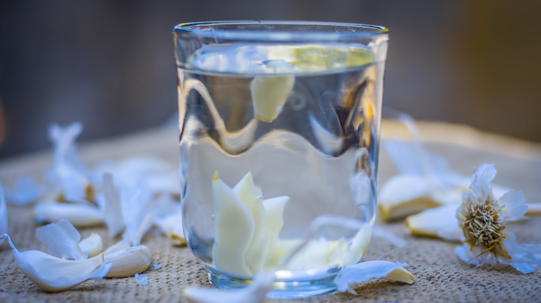 Garlic and water