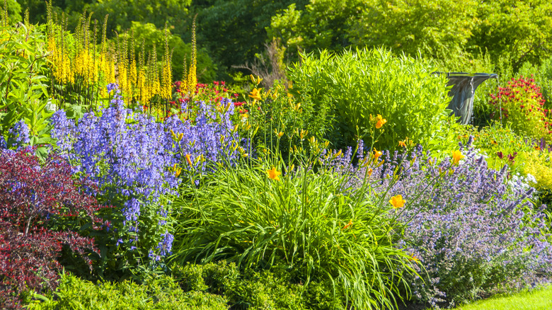 A garden with blooms in various colors