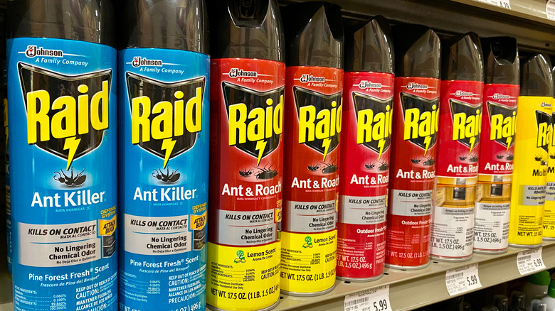 raid ant killer on shelf