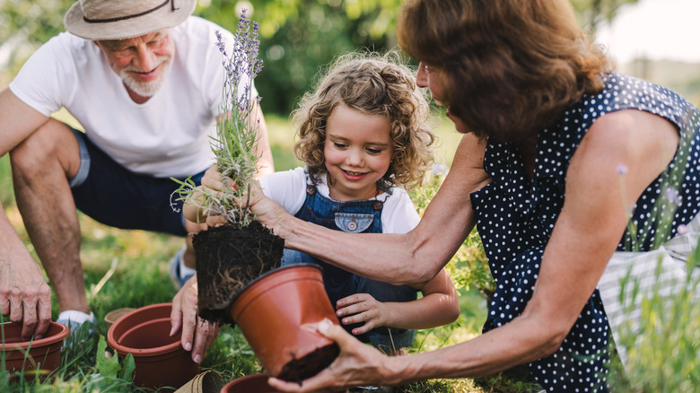Older couple gardening with child