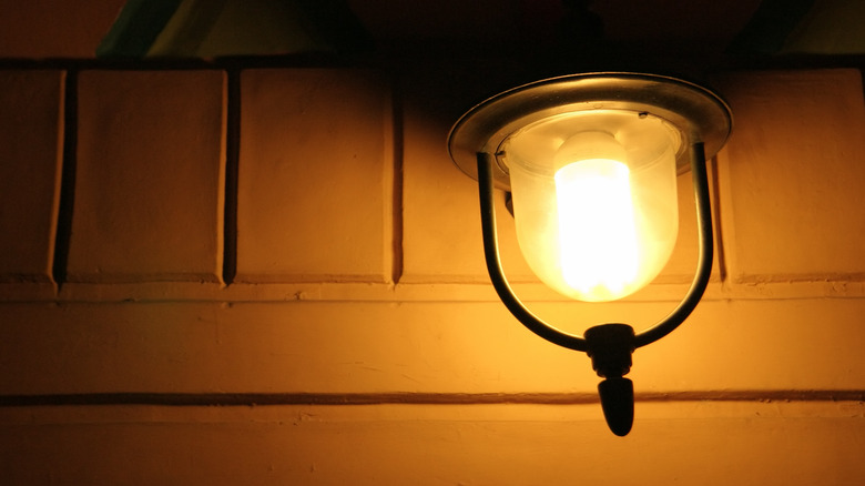 Orange porch light bulb