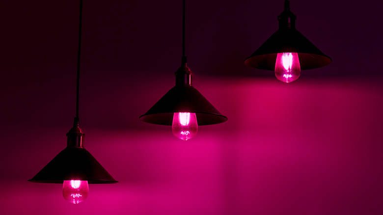 Pink lightbulbs light fixtures