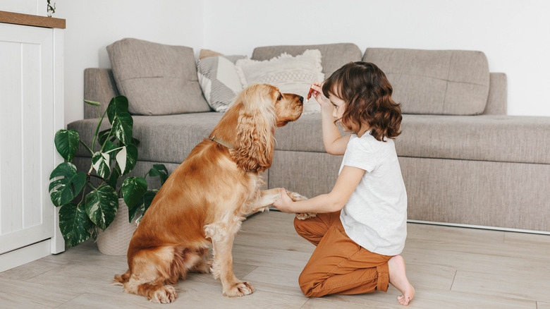 Training dog