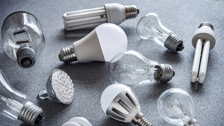 various kinds of light bulbs