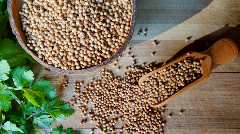 coriander seeds on wooden counter