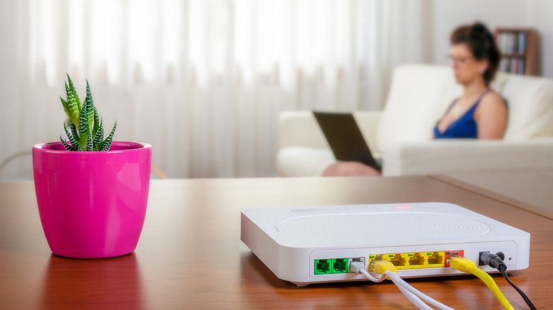 modem and plant on table