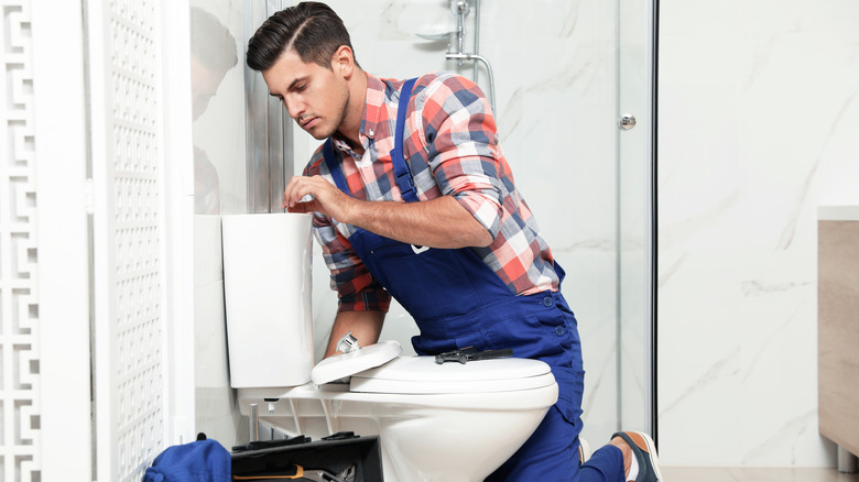 plumber fixing toilet