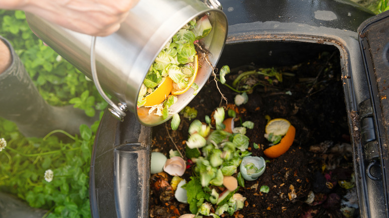 compost heap