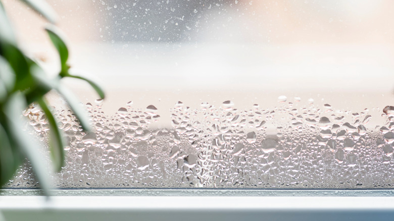 condensation on windows