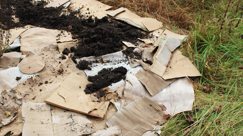 A section of grass is smothered by layers of cardboard and topsoil.