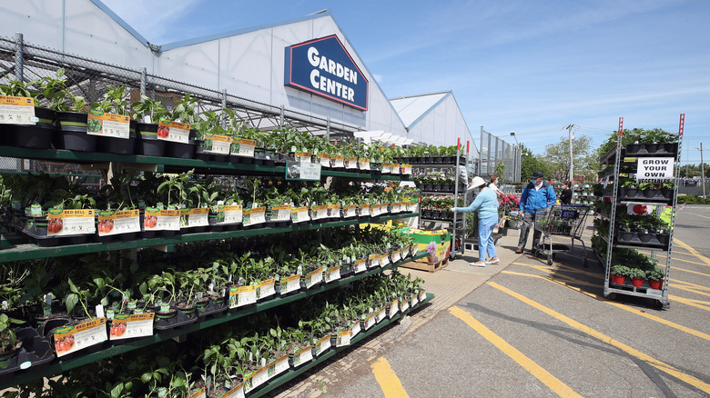 Garden center at Lowe's