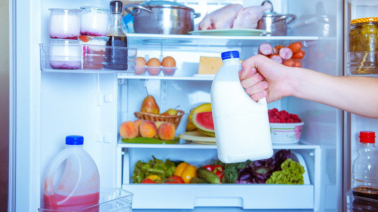 milk jug taken from fridge