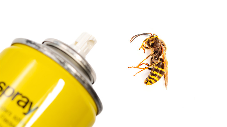 The Right Time To Spray A Wasp Nest On Your Property