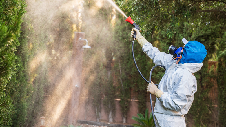 expert spraying pesticides