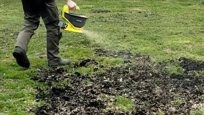 Person spreading grass seed with Ryobi power spreader